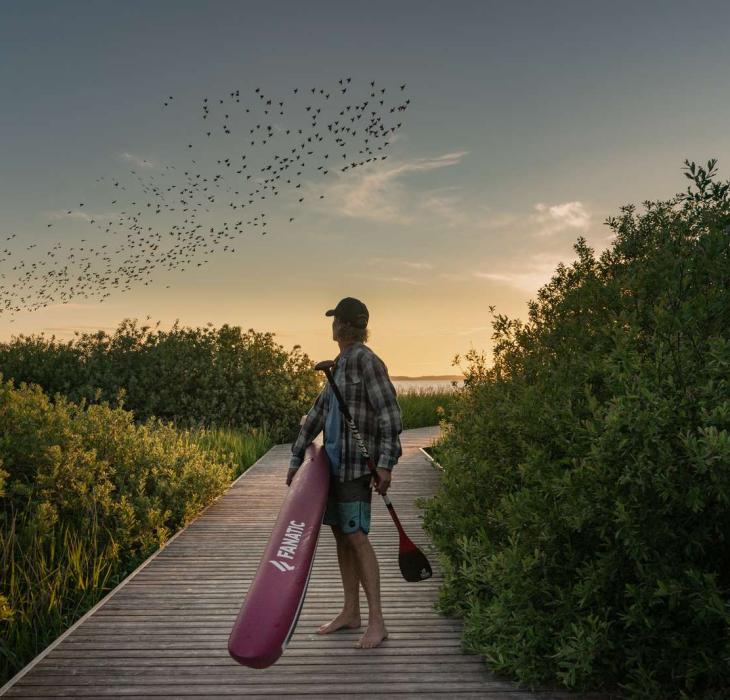 SUP_Vandet Sø_Nationalpark Thy