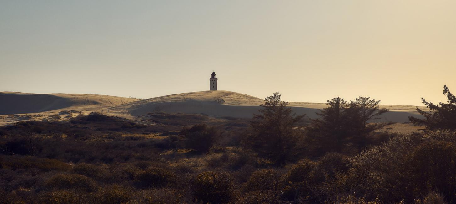 Rubjerg Knude Fyr