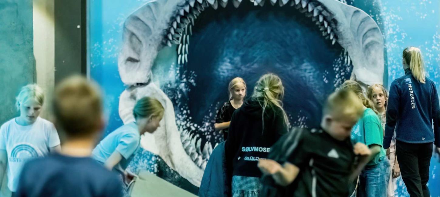 Nordsøen Oceanarium 