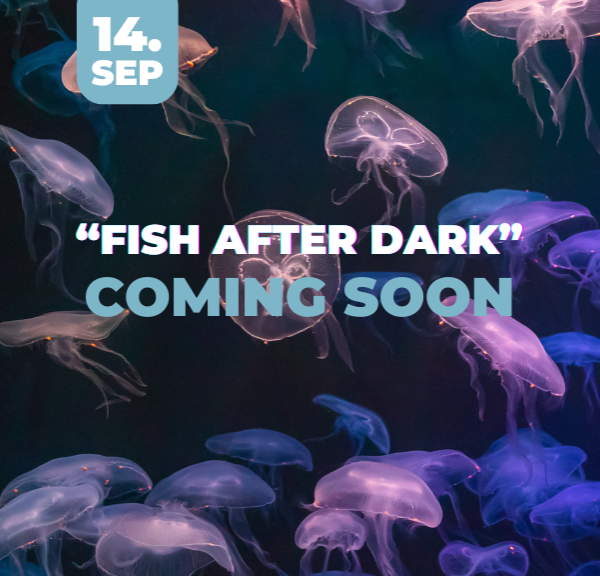 Fish After Dark, Thorsminde