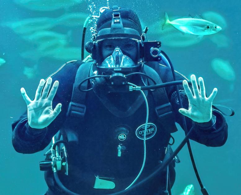 Nordsøen Oceanarium - Oceanarie fodring