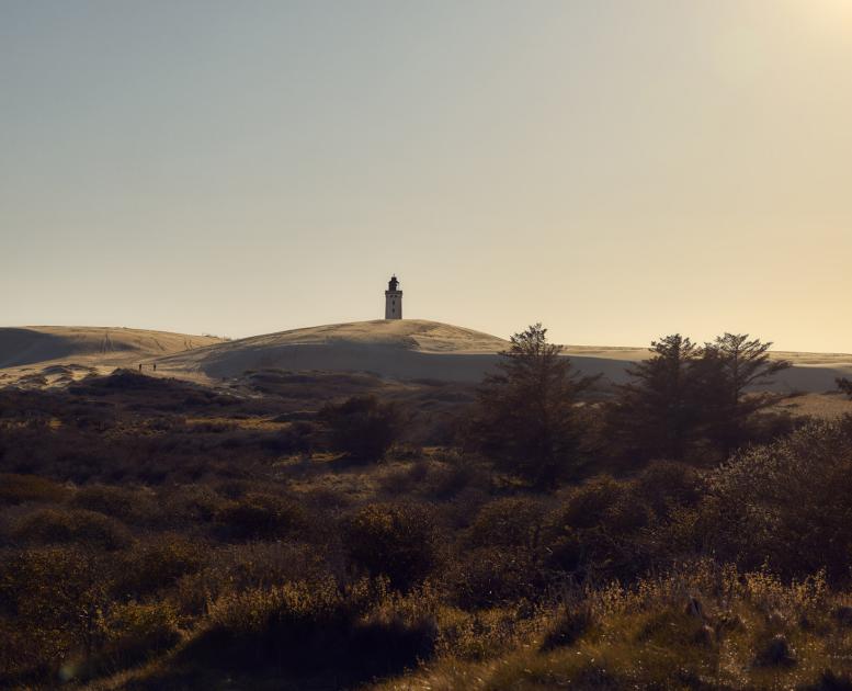 Rubjerg Knude Fyr